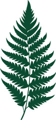 Obraz premium Fern leaves with tropical texture silhouette illustration 