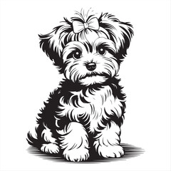 Adorable Maltese Puppy with Bow - Black and White Line Art