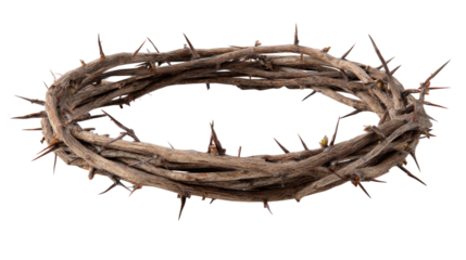 Crown of thorns isolated transparent background with sharp brown spikes and twisted wood texture