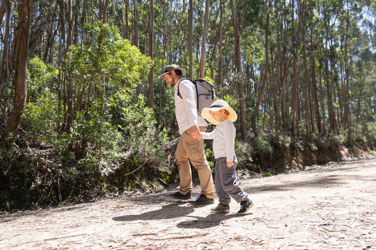 Father and son hiking together in sunny eucalyptus forest