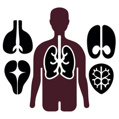 Human organ, anatomy icon set. Vector glyph pictograms of brain, heart, lungs, liver, stomach, intestine, kidney medical, healthcare, and biology concept black silhouette illustration.