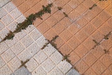Sidewalk paving stones weeds problem in Benidorm