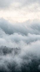 Fototapeta premium Atmospheric landscape of dense clouds obscuring a forested valley on a cloudy day
