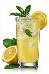 Lemon slice and mint