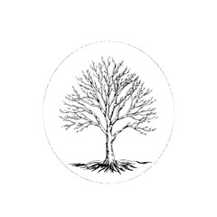 Bare Tree in Circle: A minimalist line art illustration depicts a leafless tree enclosed in a circular frame, showcasing its stark branches and intricate root system against a white background.