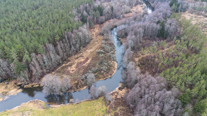 River inside the forest