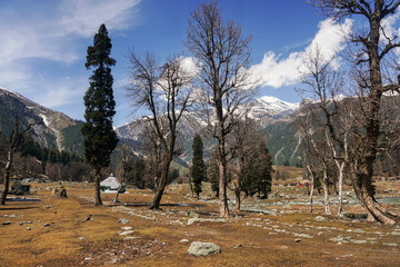 mountain landscape with trees and clouds
