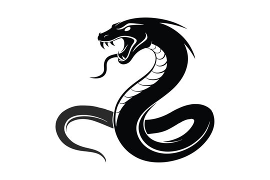 Angry viper silhouette isolated on white background
