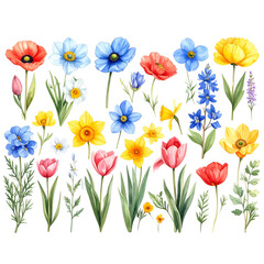 Fototapeta premium Spring Blossoms in Full Bloom – Hand-Drawn Wildflowers PNG Set