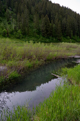 Snow Capped Mountains in the Spring