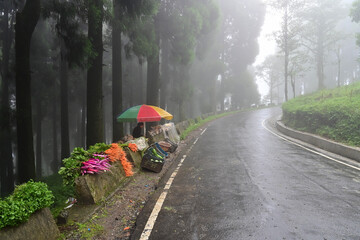 Mules, Beets and carrots and other vegetables are being sold at roadside market, Darjeeling, West...