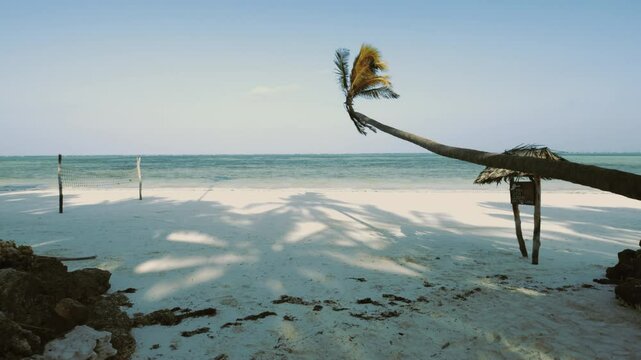 Entrance to Paje beach in Zanzibar with Volleyball net and outstretched tree over sand.
