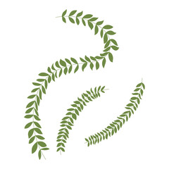 Set of various green plants, young saplings. Vector illustration, isolated on a white.
