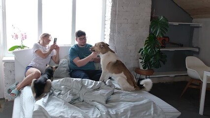 happy young millennial couple having breakfast in bed and enjoying fun time with their dog, woman taking photos on smartphone - Powered by Adobe