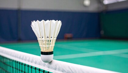 Badminton racket and shuttlecock resting on a table 