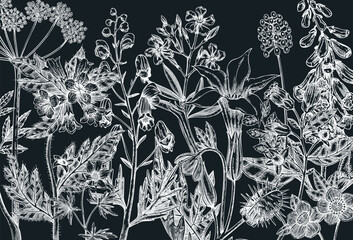 Witch herbs banner. Vintage background. Poisonous plants vector design on chalkboard. NOT AI generated