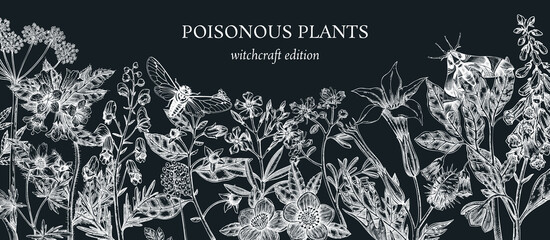 Witch herbs border. Vintage background. Poisonous plants vector design. NOT AI generated