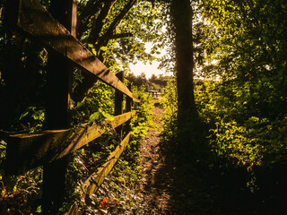 A wooden fence with a path in between. The path is lined with trees and leaves. The sun is shining through the trees, creating a warm and inviting atmosphere. Hot season mood and vibe.