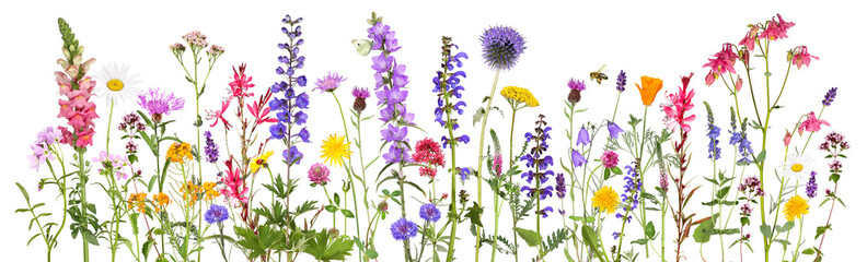 Colorful flowerbed with a wide variety of flowers