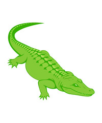 A vibrant green alligator illustration, showcasing its detailed scales and powerful physique.