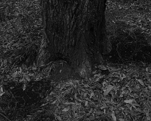 black and white background