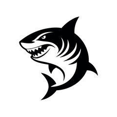 Aggressive Shark Illustration