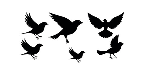 Obraz premium Silhouette Bird Collection