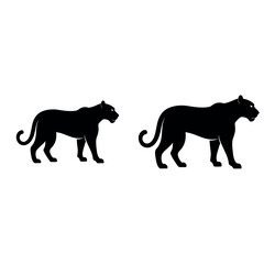 Pair of panther silhouettes in prowling posture, perfect for wildlife graphics, jungle-themed designs, sports logos, or animal conservation branding.