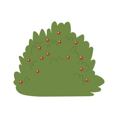 Decorative green plants in the form of garden shrubs, seasonal shrubs. To decorate a park, garden or green hedge.