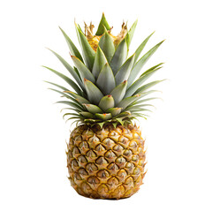 Fototapeta premium Pineapple with crown isolated on transparent background