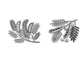 Hand-drawn botanical leaves silhouette vector. Decorative nature foliage for eco designs, prints, and backgrounds.