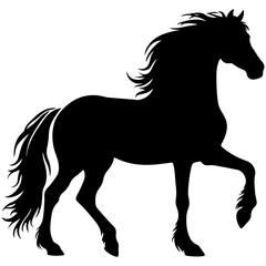black horse vector illustration