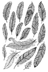 vector set of feathers