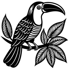 black and white bird