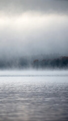Fototapeta premium Misty lake at dawn: a tranquil scene of water and forest under overcast skies
