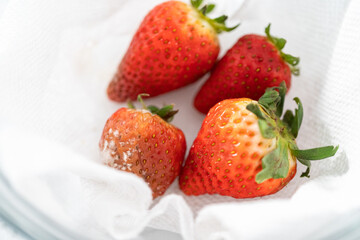Fresh and Moldy Strawberries in a Glass Bowl on a White Napkin