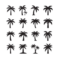 Fototapeta premium vector Collection of various black tropical palm tree icons silhouettes summer designs illustrations
