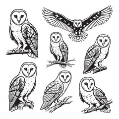 Set of detailed barn owl vector illustrations in various poses, including perched and flying. Ideal for prints, logos, and wildlife-themed artwork.