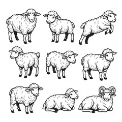 Vector set of sheep in multiple poses standing, grazing, jumping, and lying down. Great for farm graphics, mascots, logos, or children’s illustrations. Farm animals.
