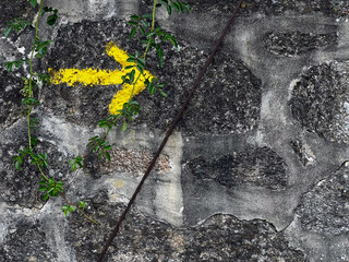 yellow arrow showing the direction of the pilgrimage to Santiago in portugal on the camino de Santiago, the road to santiago, christian pilgrimage