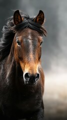 Fototapeta premium Majestic brown horse in motion against a blurred background in a natural setting at dusk