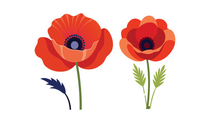 Obraz premium Adobe Illustrator Artwork