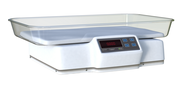 Medical scale