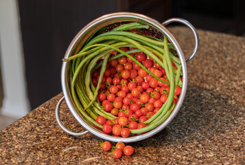 harvest of tiny cherry tomatoes and green beans in kitchen
