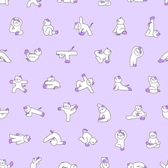 고양이의 요가 라이프 패턴