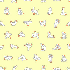 고양이의 요가 라이프 패턴