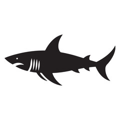 Shark Vector Illustration
