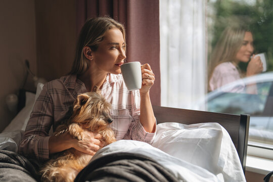 Enjoying quiet morning with small dog while sipping coffee by the window on a cozy bed in a softly lit room