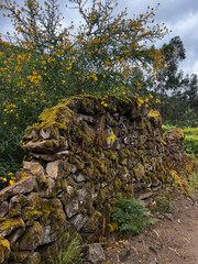 yellow arrow pointing into the direction of the pilgrimiage in portugal on the camino de Santiago, the road to santiago, christian pilgrimage