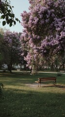 Blooming Lilac Trees Provide a Serene Park Setting With a Bench for Relaxation During Sunny Days